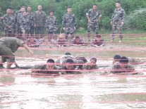 東莞在“看海”,一(yī)行在練心。